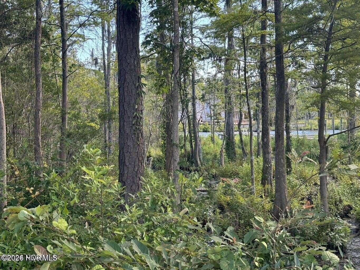 0.85 Acres of Residential Land for Sale in Hertford, North Carolina