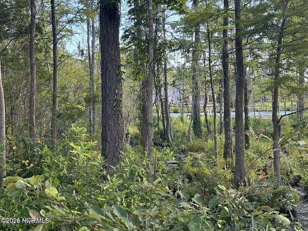 0.85 Acres of Residential Land for Sale in Hertford, North Carolina