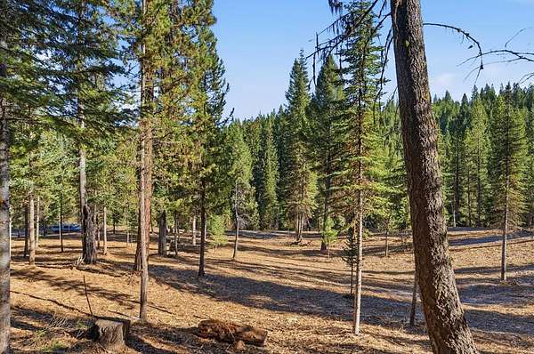 25 Acres of Recreational & Residential Land for Sale in Cascade, Idaho