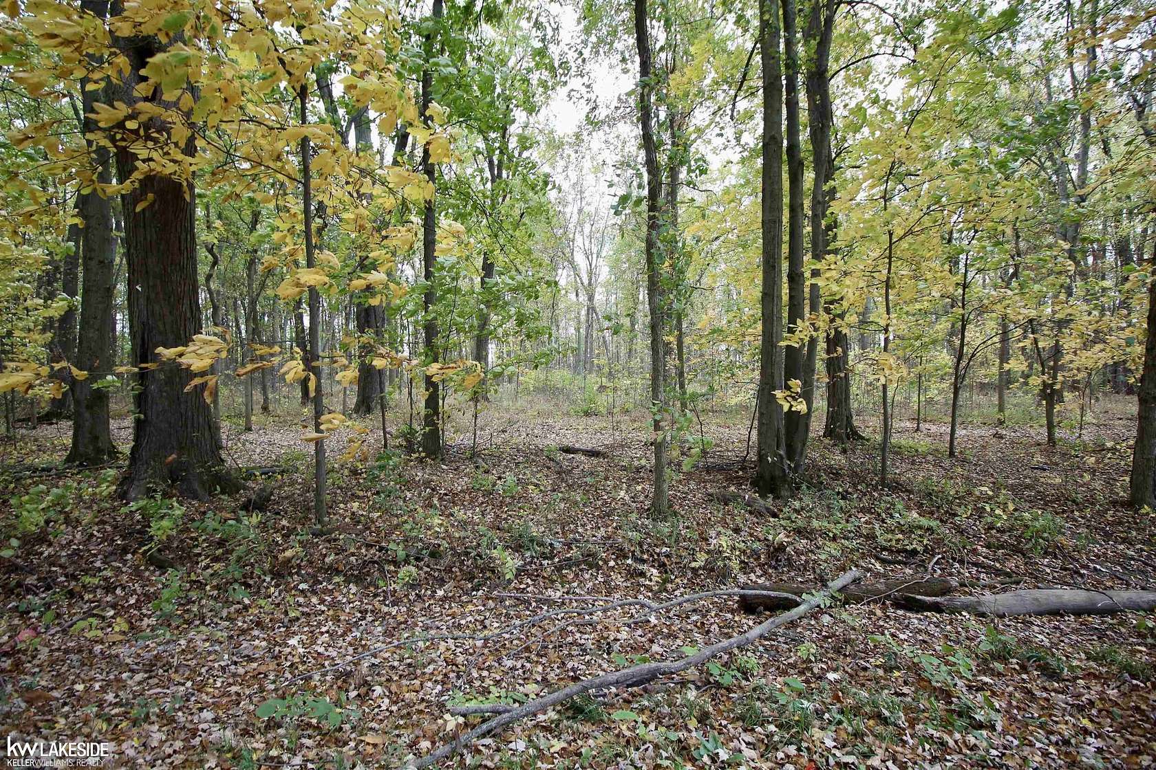 6.53 Acres of Residential Land for Sale in Riley Township, Michigan
