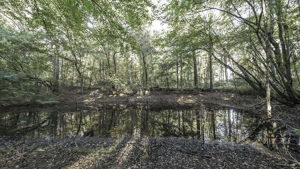 Land for Sale in Tallapoosa, Georgia