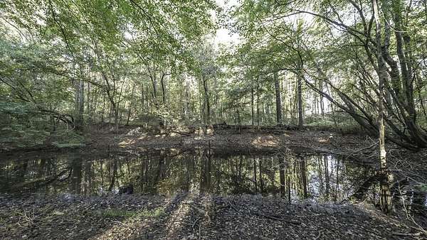 Land for Sale in Tallapoosa, Georgia