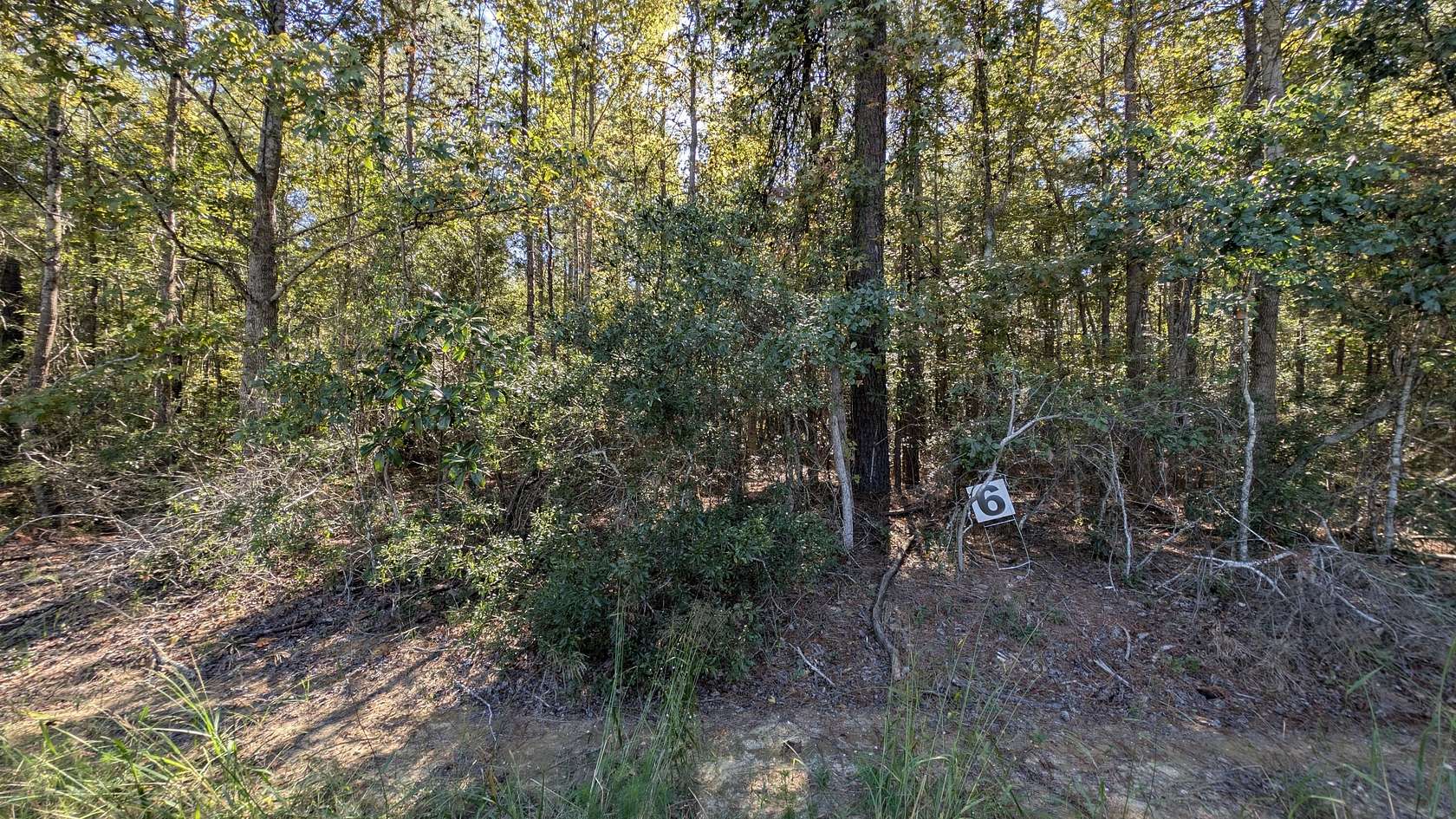 1.29 Acres of Residential Land for Sale in Summerton, South Carolina