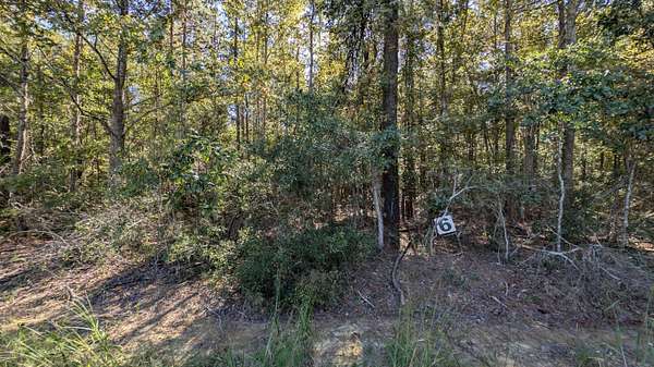 1.29 Acres of Residential Land for Sale in Summerton, South Carolina