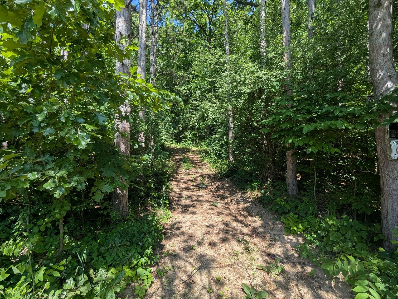 4.7 Acres of Residential Land for Sale in Bellevue, Michigan