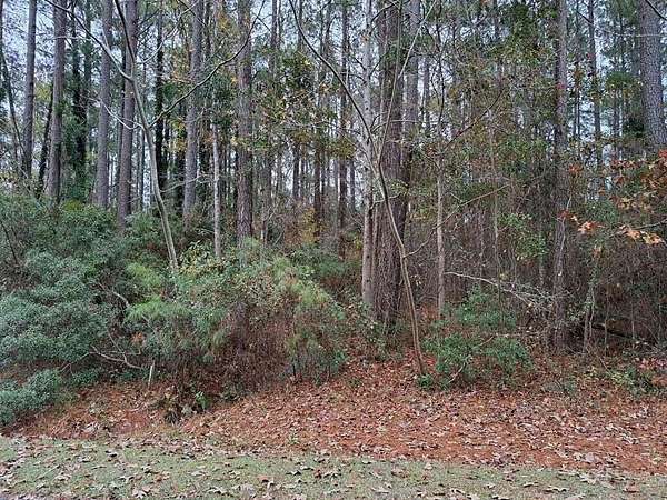 0.47 Acres of Residential Land for Sale in Santee, South Carolina