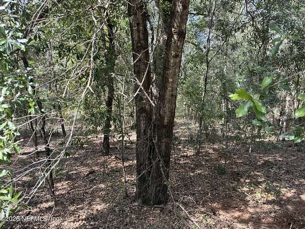 0.22 Acres of Land for Sale in Interlachen, Florida