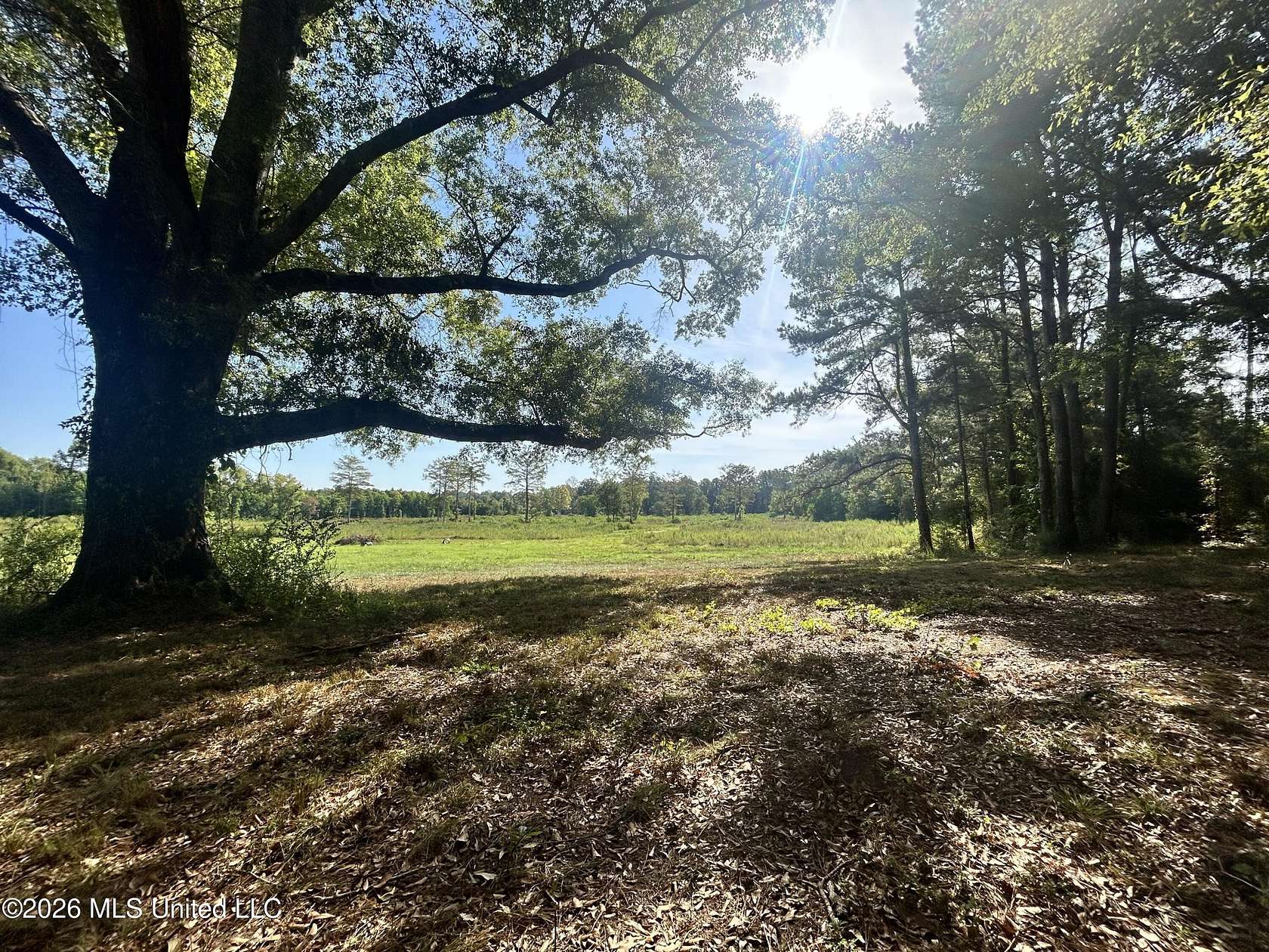 21.2 Acres of Agricultural & Residential Land for Sale in Prentiss, Mississippi