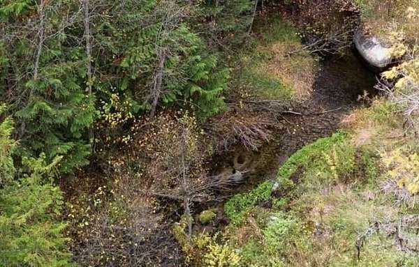 6 Acres of Residential Land for Sale in Colville, Washington