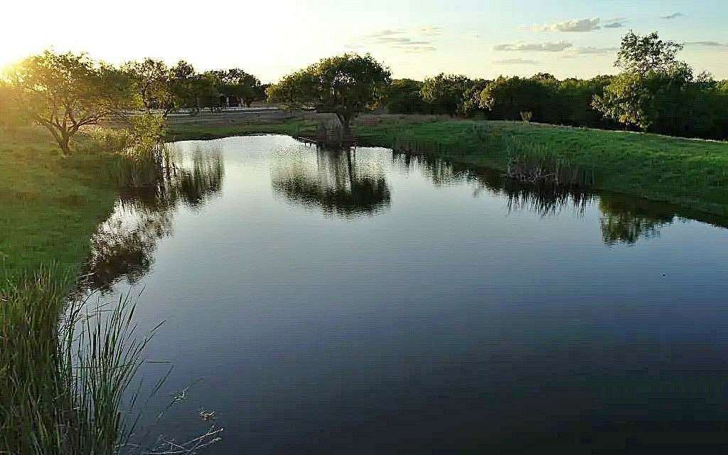 4.89 Acres of Land with Home for Sale in Jourdanton, Texas
