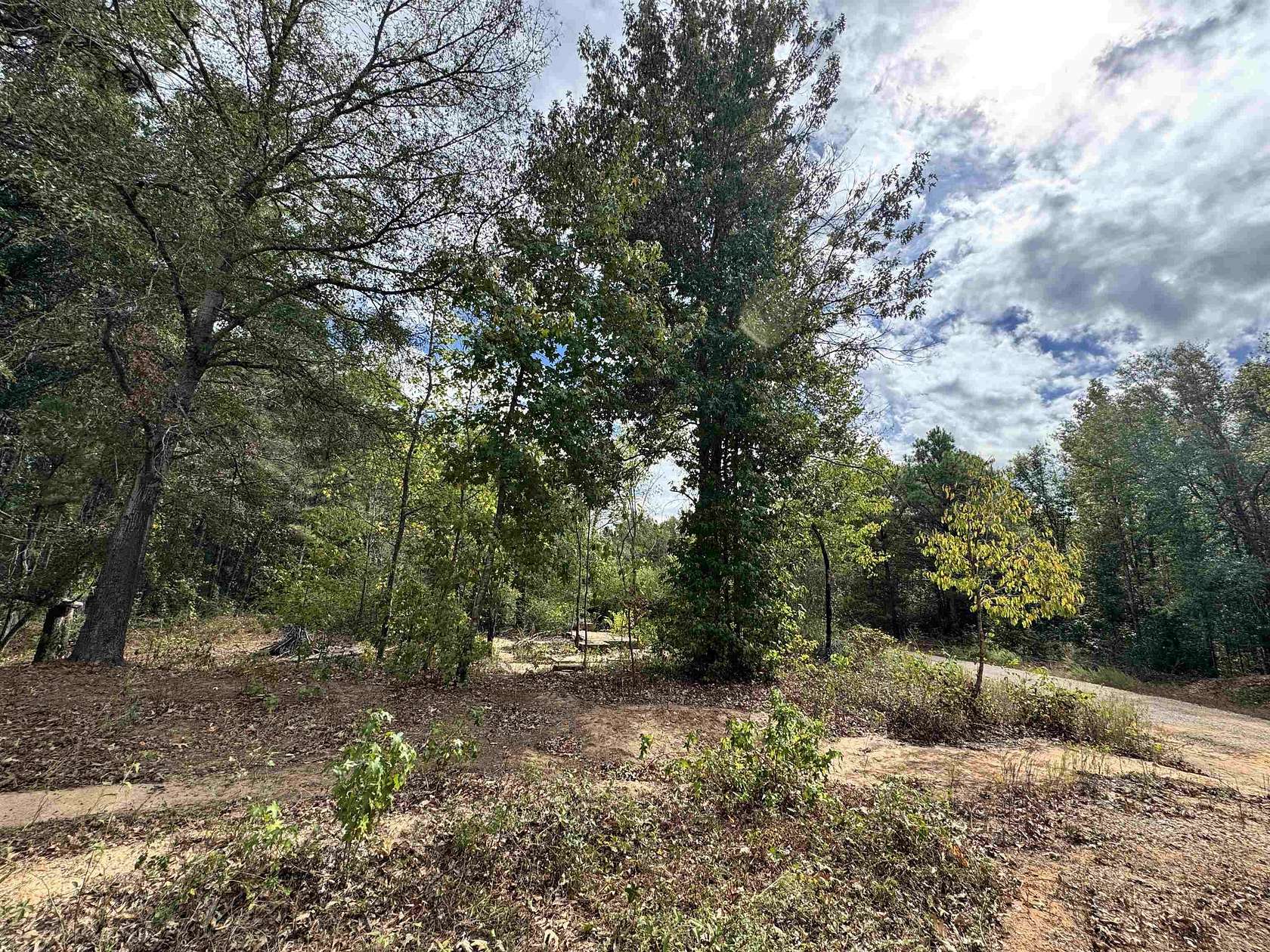 8 Acres of Residential Land for Sale in Overton, Texas