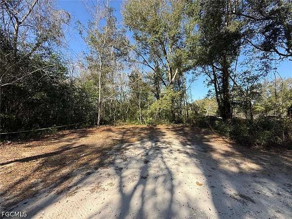 0.34 Acres of Residential Land for Sale in Lehigh Acres, Florida