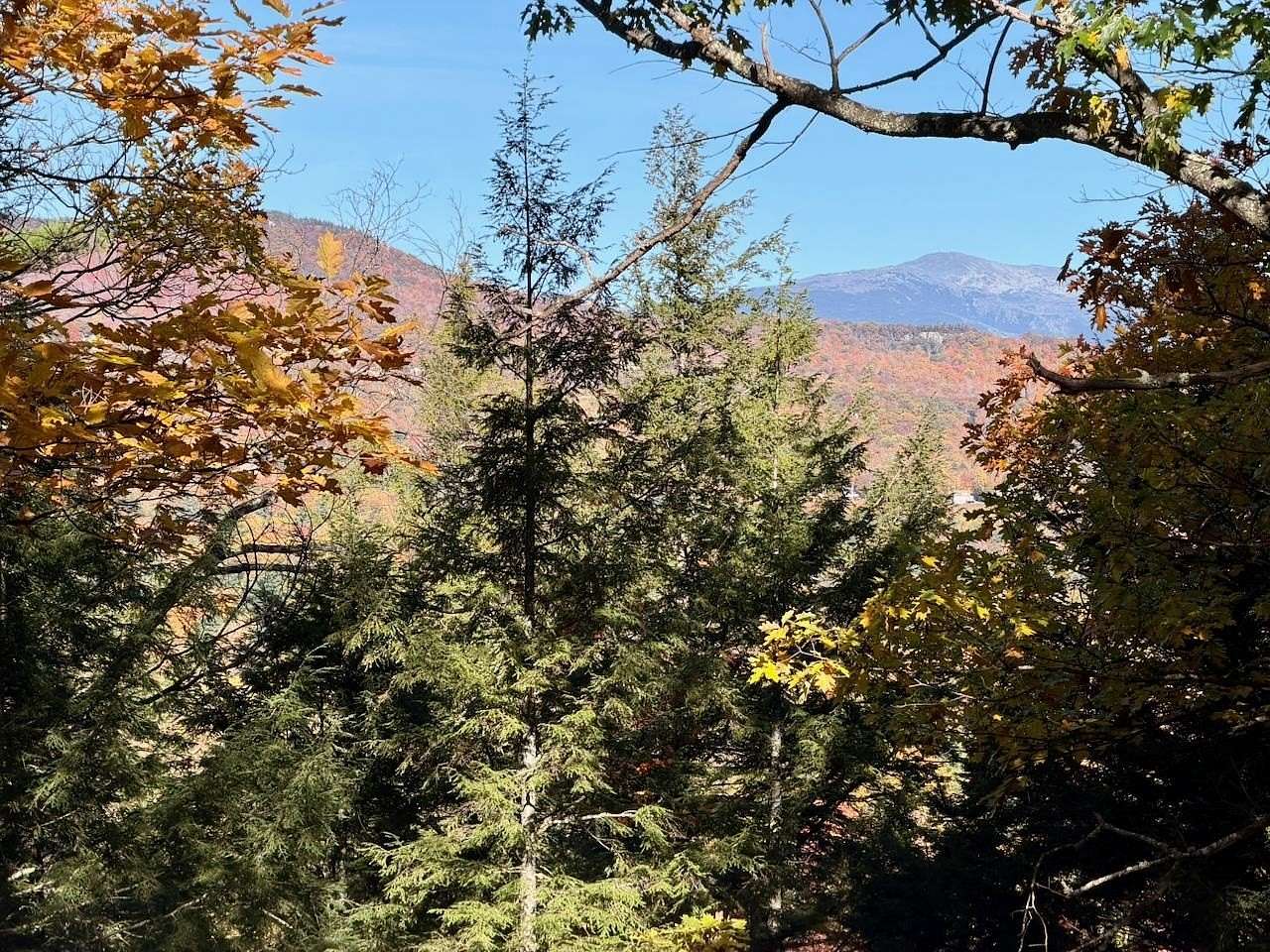 4.8 Acres of Land with Home for Sale in Bartlett, New Hampshire