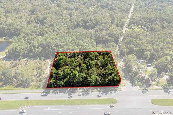 1.42 Acres of Commercial Land for Sale in Lecanto, Florida