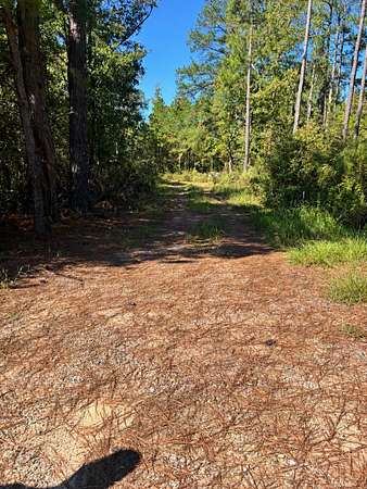 2.17 Acres of Land for Sale in Blythe, Georgia