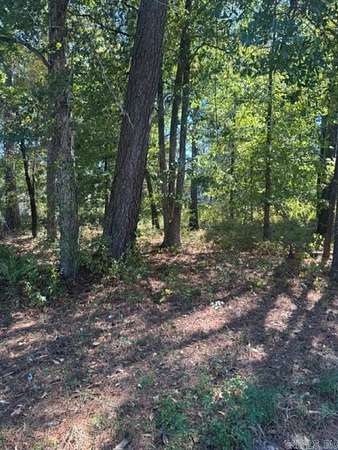 0.48 Acres of Residential Land for Sale in Monticello, Arkansas