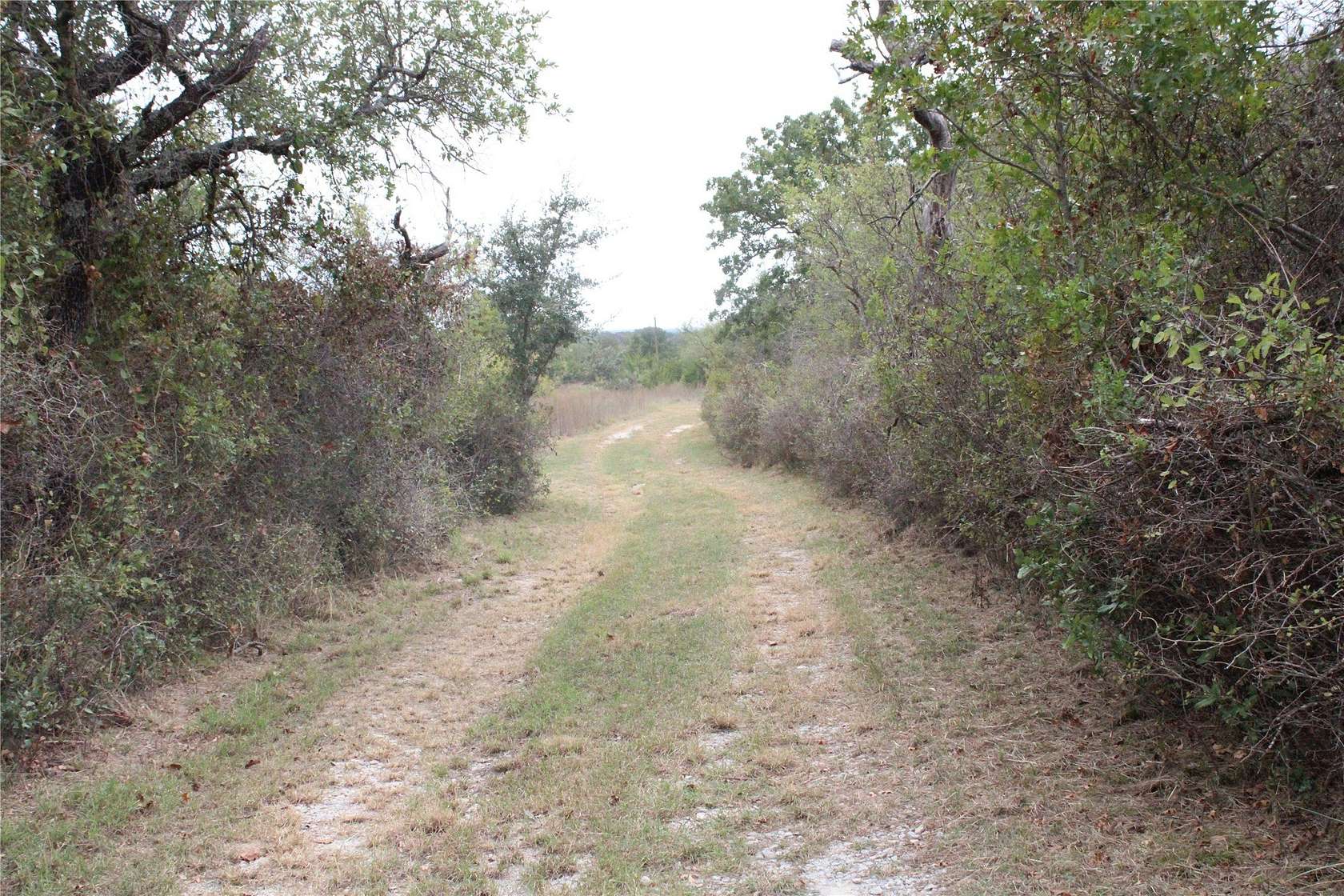 18.7 Acres of Land with Home for Sale in May, Texas