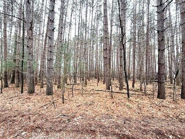 0.46 Acres of Residential Land for Sale in Ogdensburg, Wisconsin