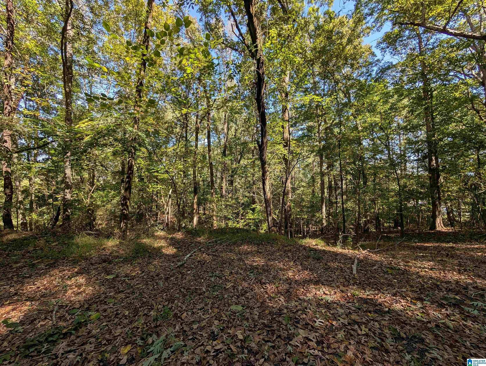 1 Acre of Residential Land for Sale in Gadsden, Alabama