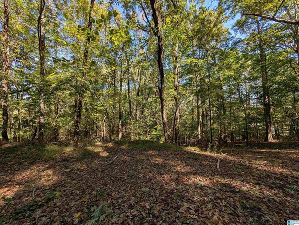 1 Acre of Residential Land for Sale in Gadsden, Alabama