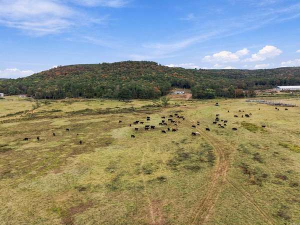 94.3 Acres of Land for Sale in Center Ridge, Arkansas