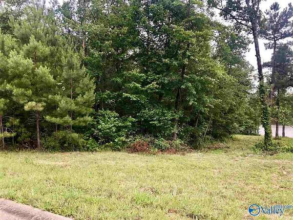 0.7 Acres of Residential Land for Sale in Centre, Alabama