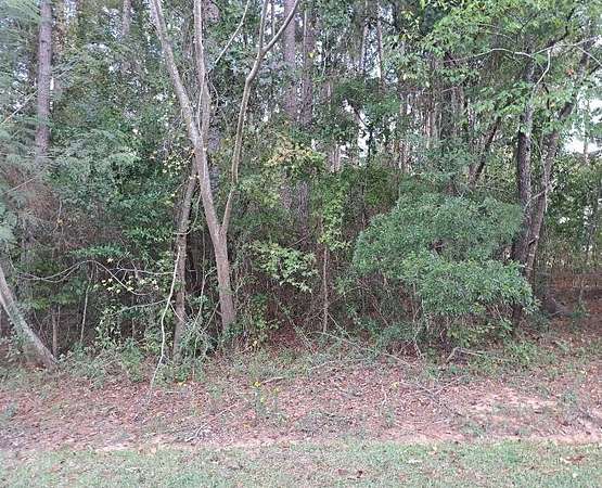 0.4 Acres of Residential Land for Sale in Santee, South Carolina