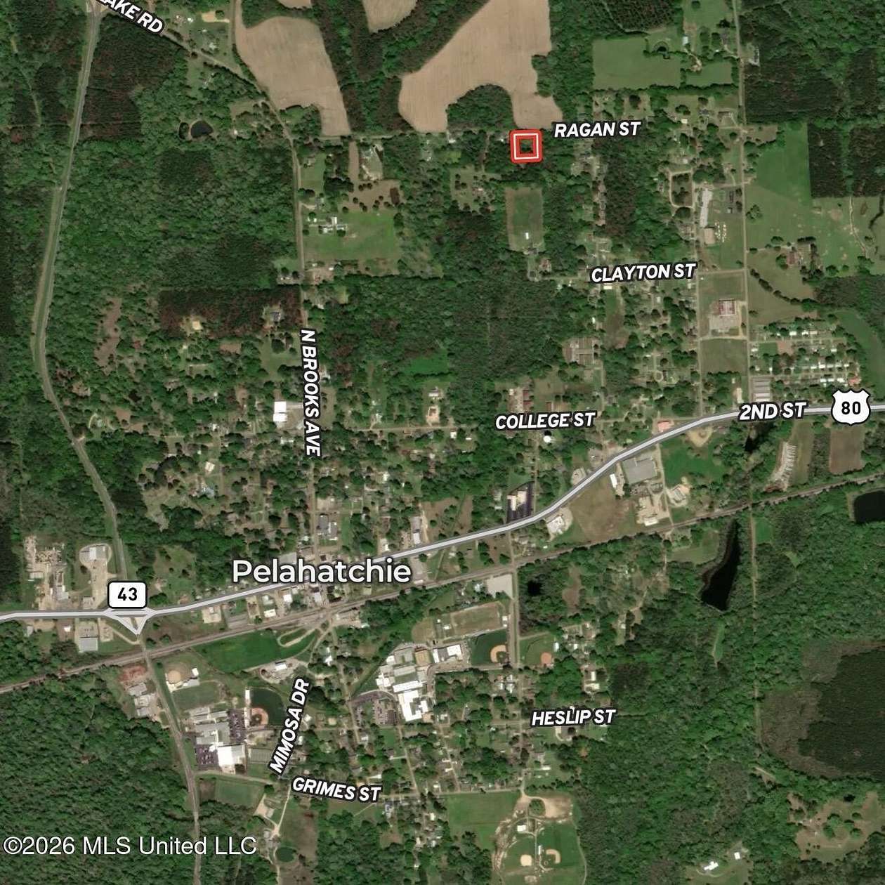 1 Acre of Land for Sale in Pelahatchie, Mississippi