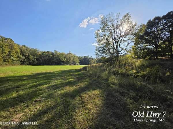 55 Acres of Recreational & Residential Land for Sale in Holly Springs, Mississippi