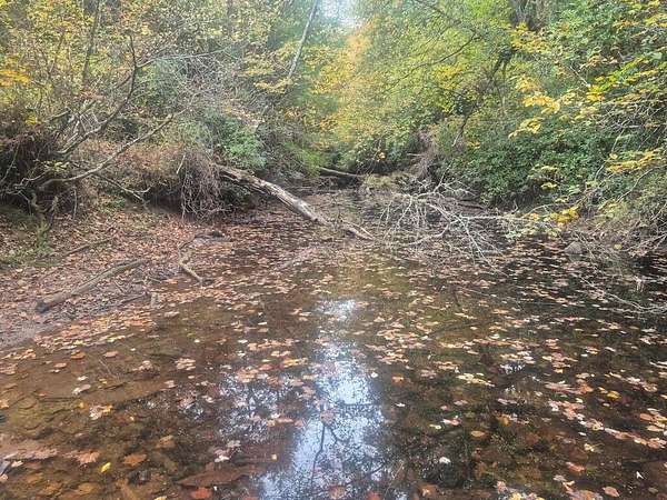 5.34 Acres of Land for Sale in Crossville, Tennessee