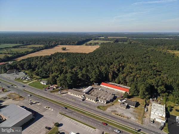 81.6 Acres of Land for Sale in Pocomoke City, Maryland
