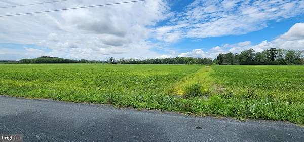 46 Acres of Recreational & Residential Land for Sale in Withams, Virginia
