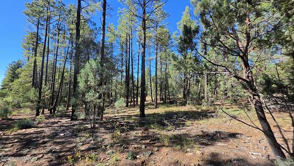 1.25 Acres of Residential Land for Sale in Lakeside, Arizona