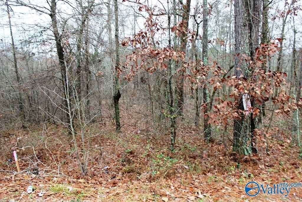 0.85 Acres of Residential Land for Sale in Centre, Alabama