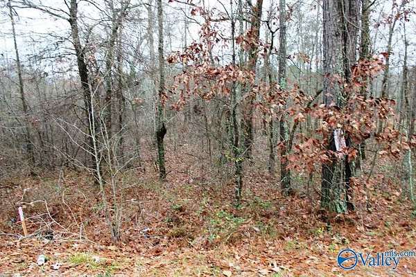 0.85 Acres of Residential Land for Sale in Centre, Alabama