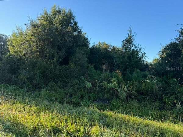 1.25 Acres of Residential Land for Sale in Okeechobee, Florida