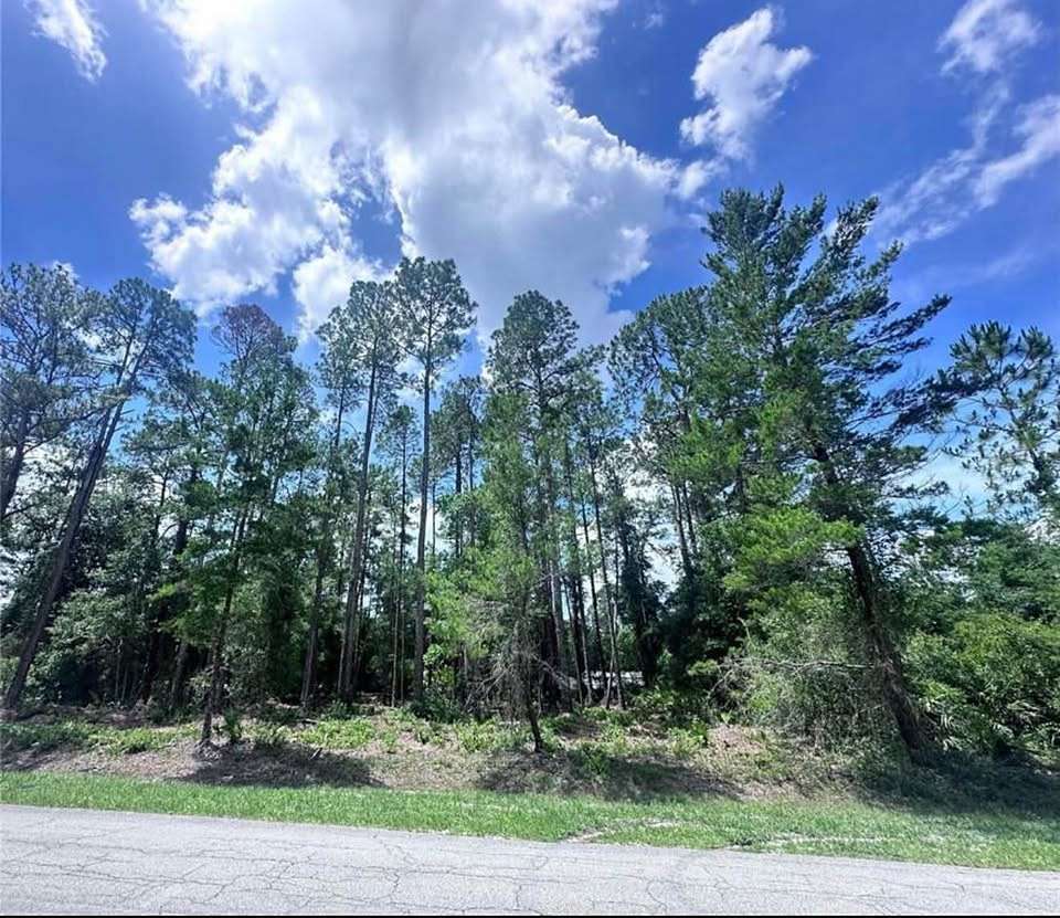 0.34 Acres of Residential Land for Sale in Georgetown, Florida