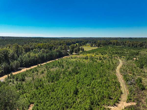 123 Acres of Land for Sale in Thorsby, Alabama