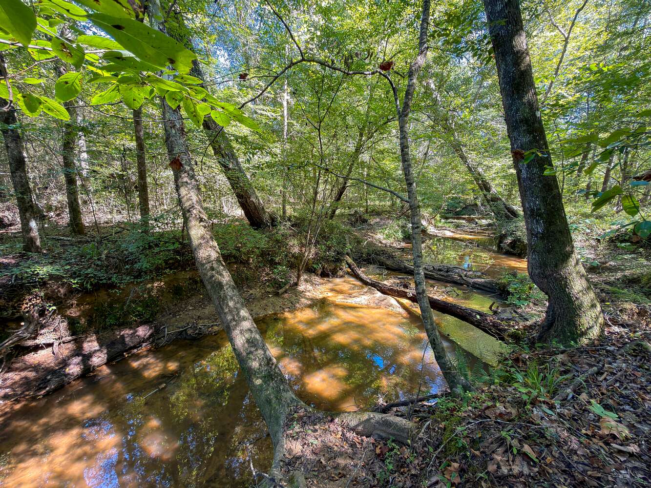 103 Acres of Recreational & Residential Land for Sale in Clanton, Alabama