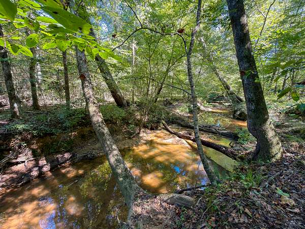 103 Acres of Recreational & Residential Land for Sale in Clanton, Alabama