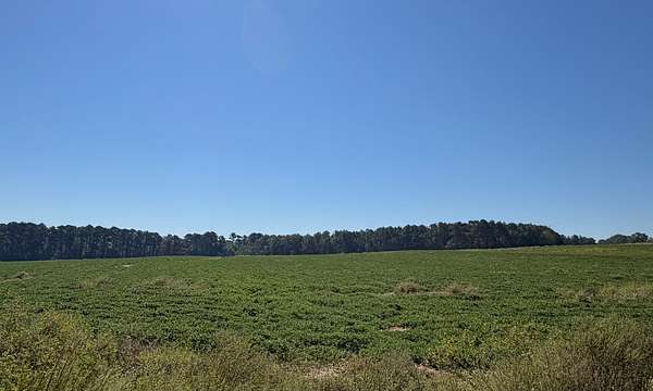 48.5 Acres of Agricultural & Residential Land for Sale in Dothan, Alabama