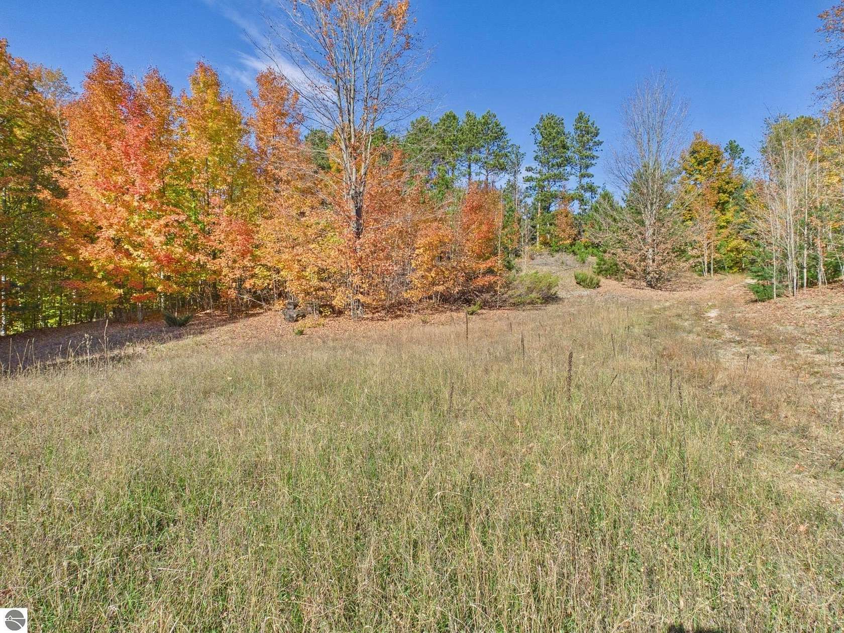 75.5 Acres of Recreational & Residential Land for Sale in Traverse City, Michigan