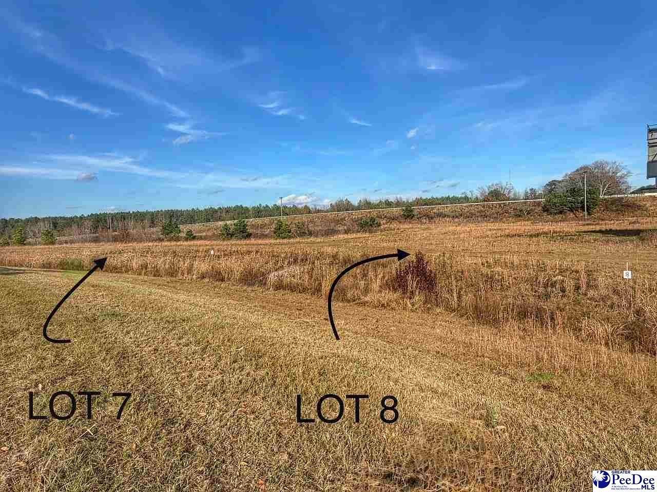 0.93 Acres of Residential Land for Sale in Latta, South Carolina