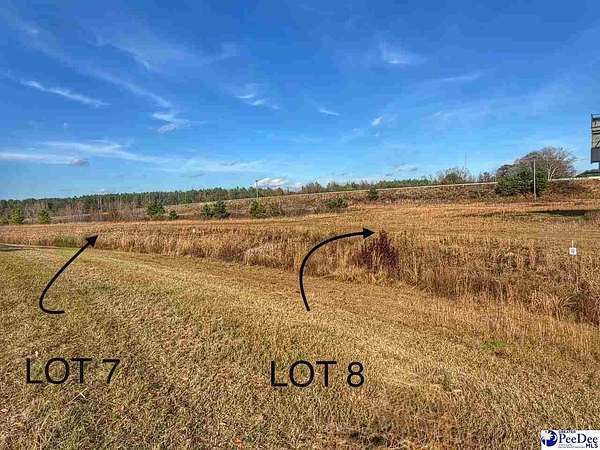 0.93 Acres of Residential Land for Sale in Latta, South Carolina