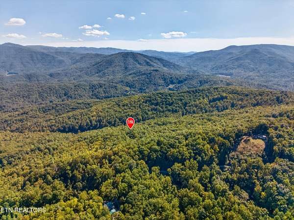 15 Acres of Land for Sale in Del Rio, Tennessee