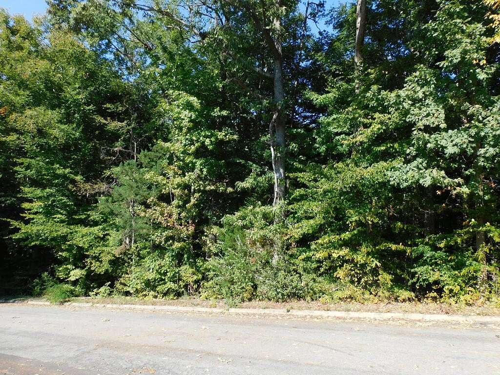 0.48 Acres of Residential Land for Sale in South Boston, Virginia