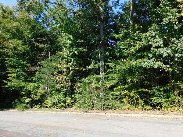 0.48 Acres of Residential Land for Sale in South Boston, Virginia
