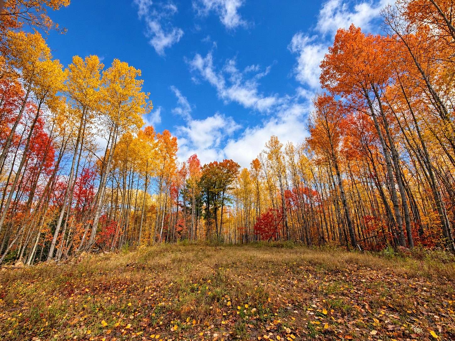 9.58 Acres of Residential Land for Sale in Solon Springs, Wisconsin