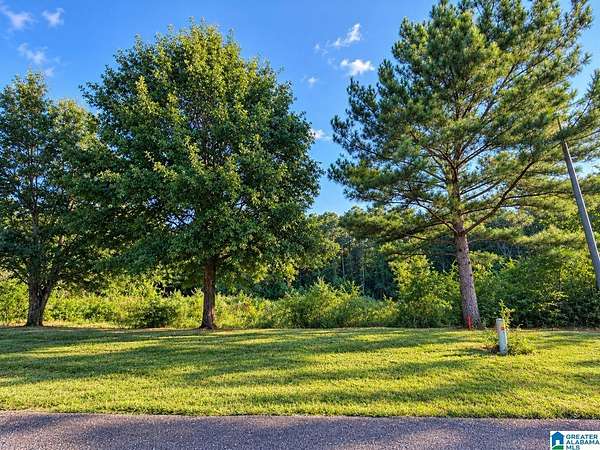 0.51 Acres of Residential Land for Sale in Jemison, Alabama