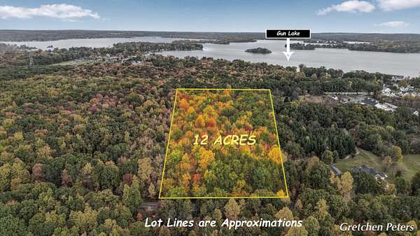 12 Acres of Recreational & Residential Land for Sale in Shelbyville, Michigan